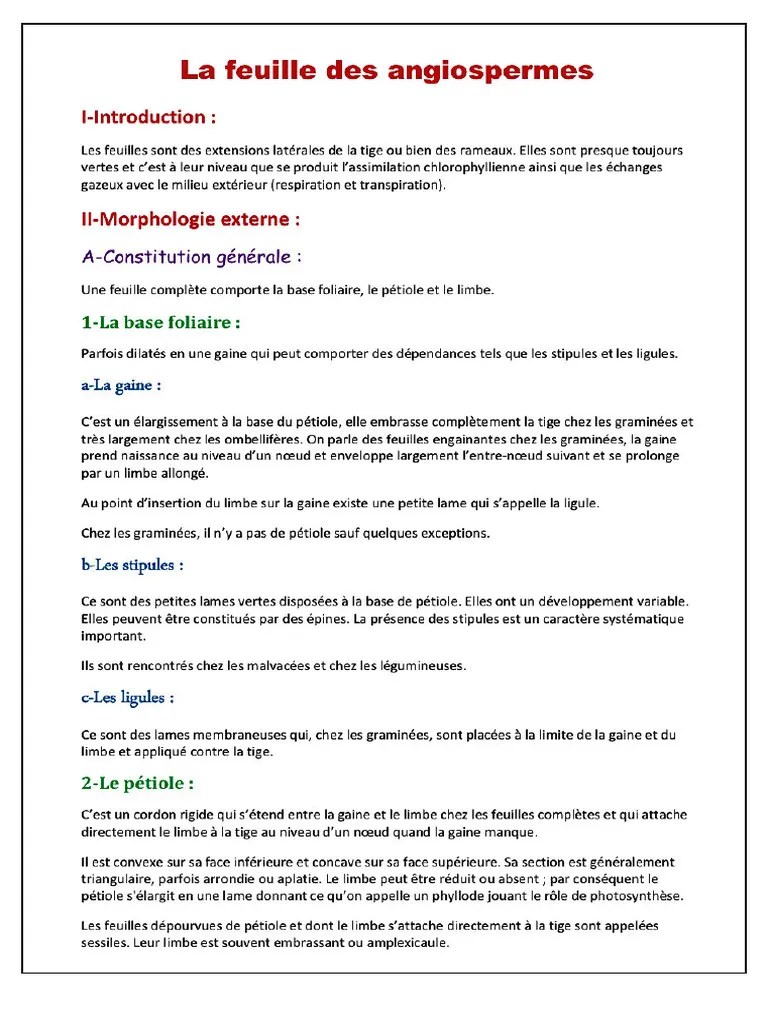 تصميم بدون عنوان PDF | PDF