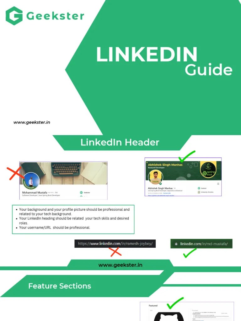 LinkedIn Guide | PDF