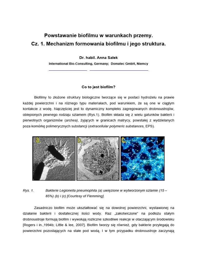 BIOFILM - General Paper | PDF