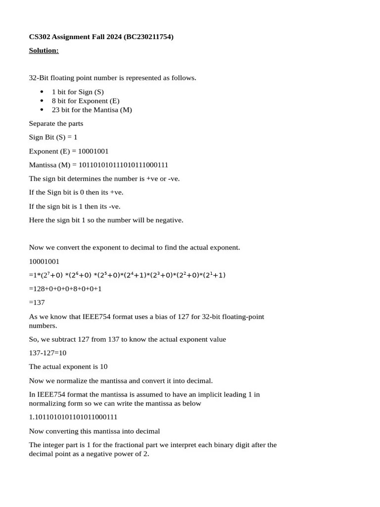 CS302 Assignment Fall 2024 | PDF