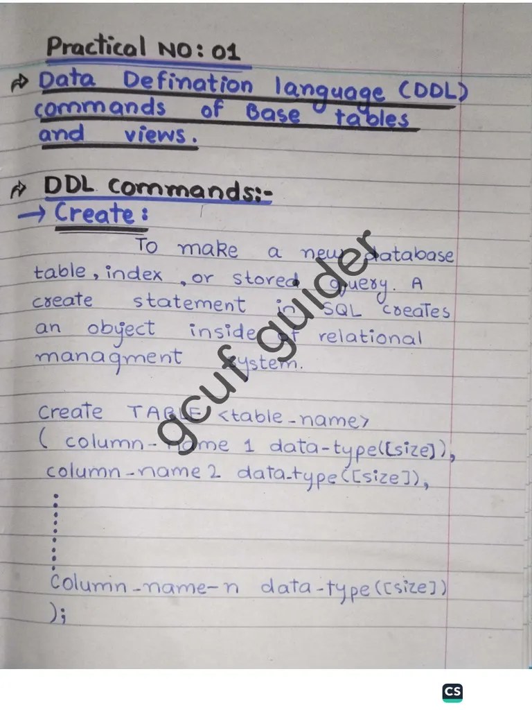 Database System Practicals | PDF
