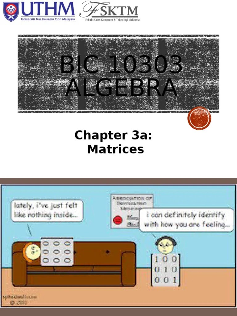 Chapter3a Matrices | PDF | Matrix (Mathematics) | Eigenvalues And Eigenvectors