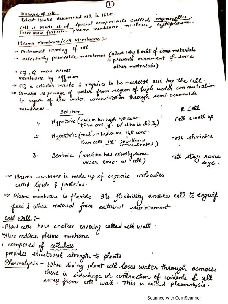 Notes Ch 5 Cell Biology Science Class 9 Pdf