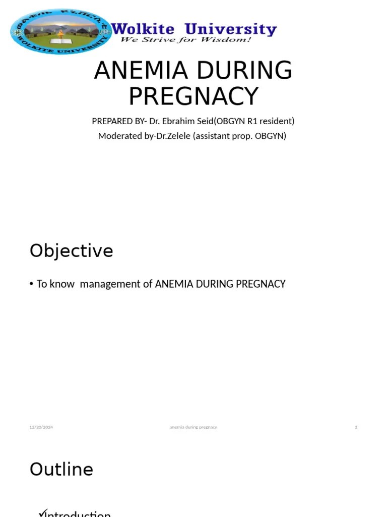 Anemia During Pregnancy | PDF | Anemia | Vitamin B12