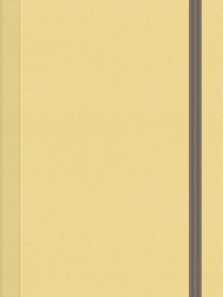 HISTORY | PDF | South Asia