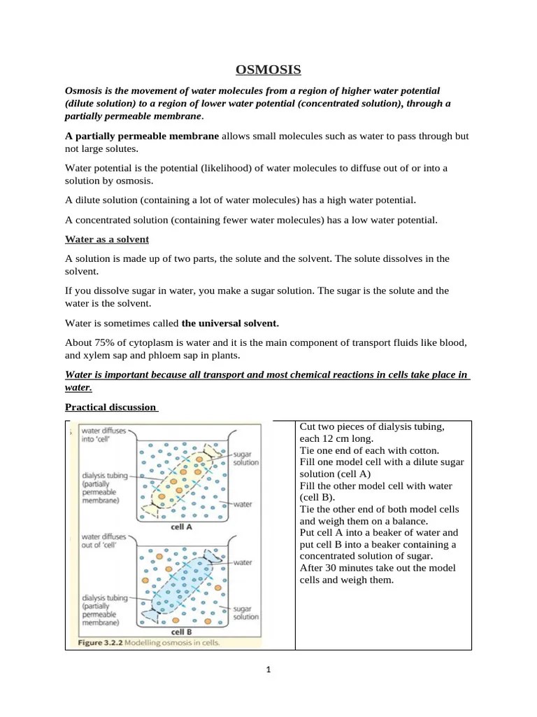 Osmosis | PDF | Osmosis | Vacuole