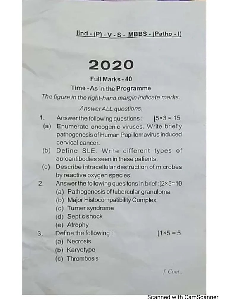 Scb 2020 2mb Pdf