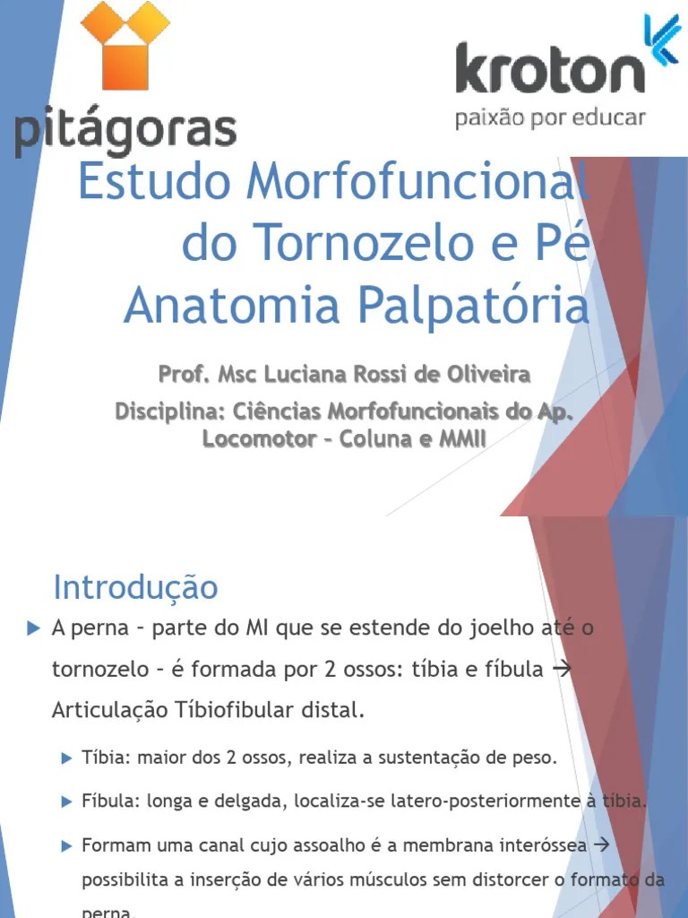 3- Estudo Morfofuncional Do Tornozelo E Pé | PDF | Pé | Sistema Locomotor