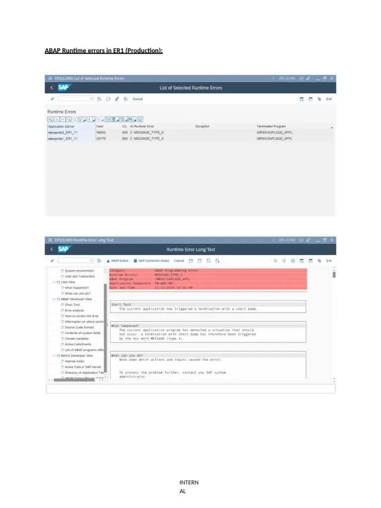 ABAP Runtime Errors | PDF