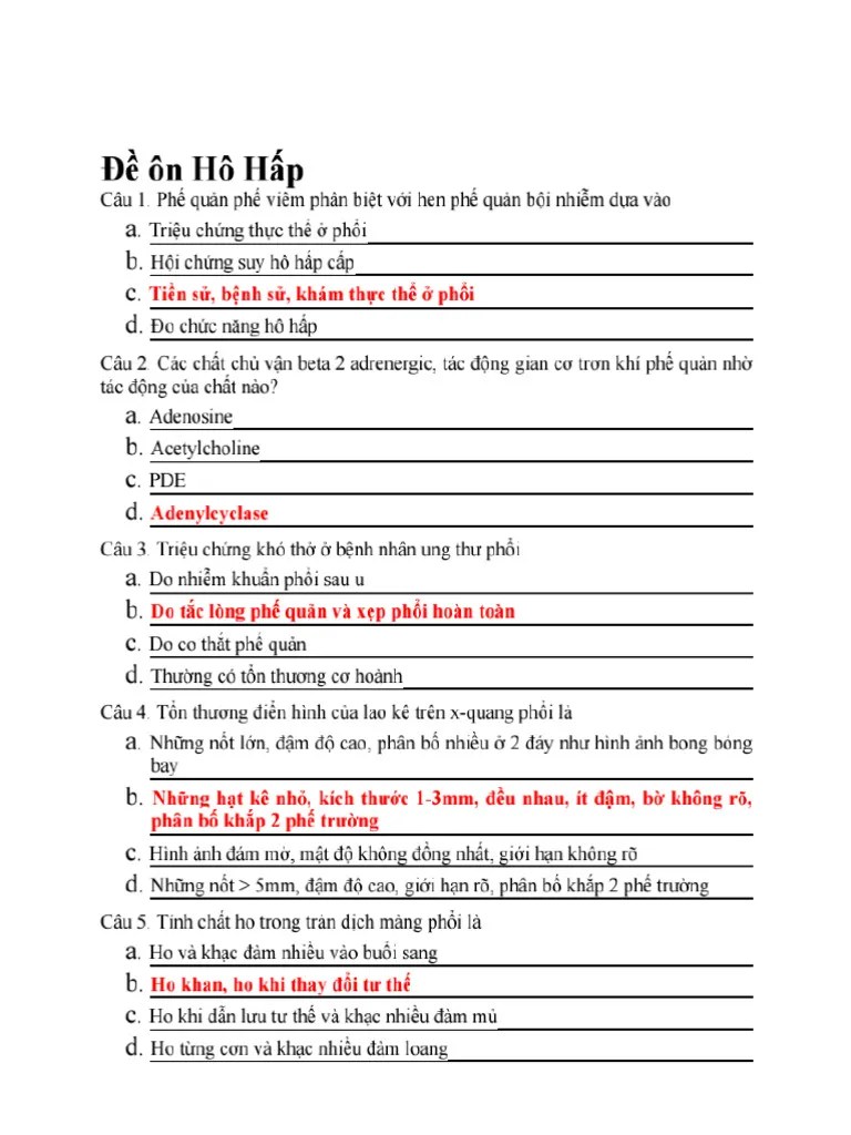 %C4%90%E1%BB%81-%C3%B4n-H%C3%B4-H%E1%BA%A5p-1 2 | PDF