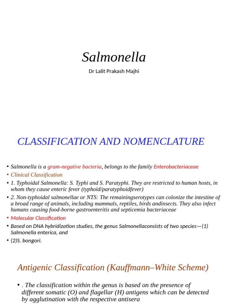 Lt Salmonella | PDF | Salmonella | Health Sciences