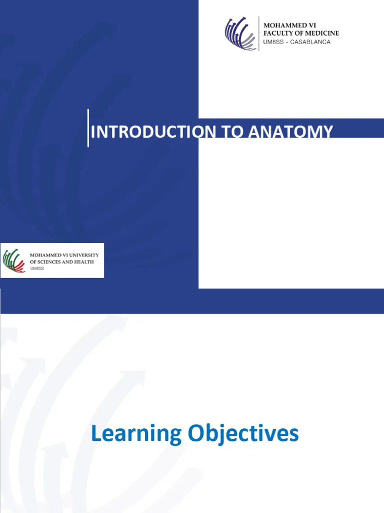 INTRODUCTION TO ANATOMY | PDF | Anatomical Terms Of Motion | Anatomical Terms Of Location