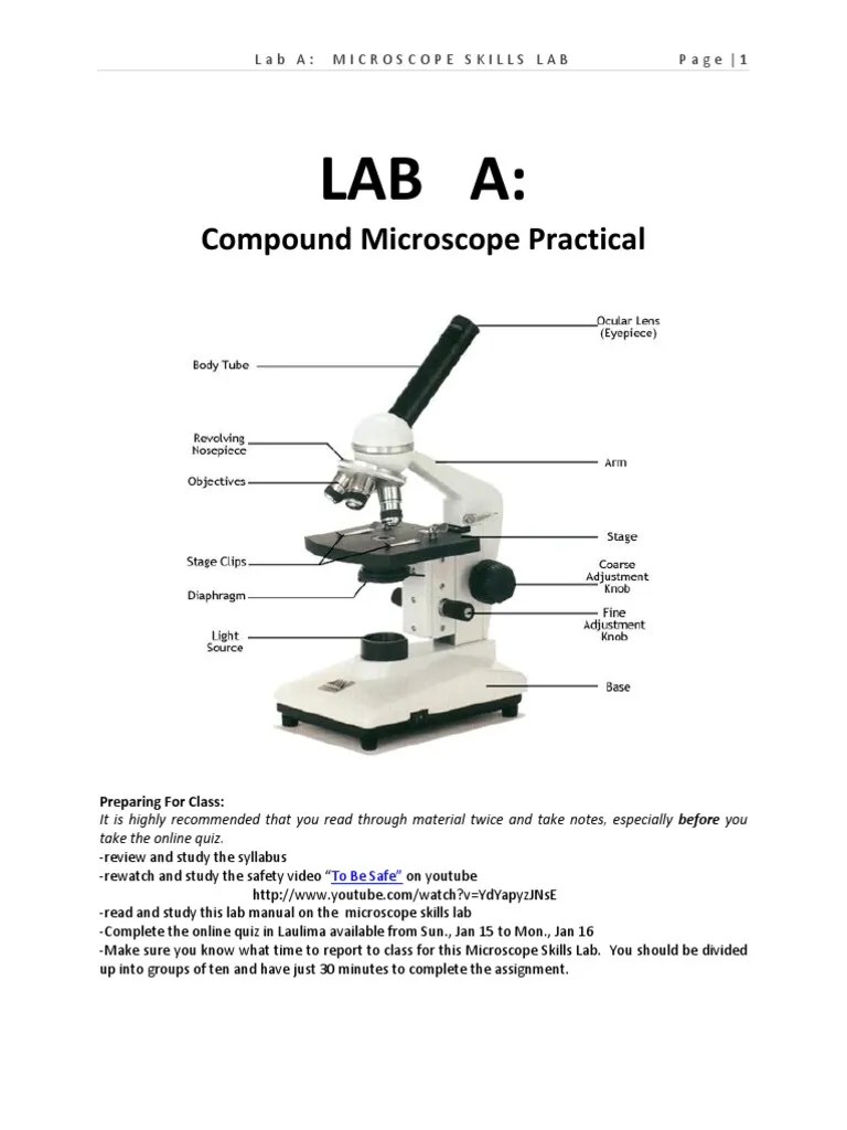 Microscope Skills Manual | Lens (Optics) | Glass Applications