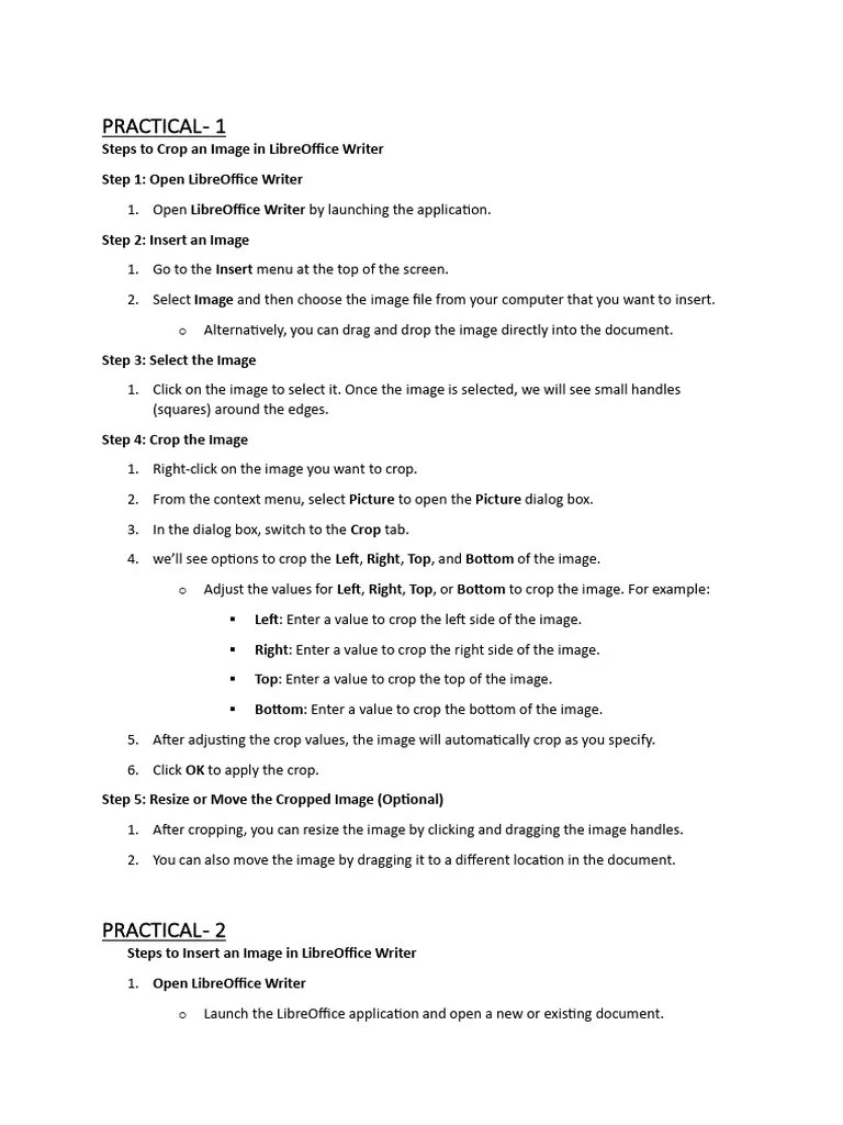 Practicals Class 10-IT | PDF | Spreadsheet | Software