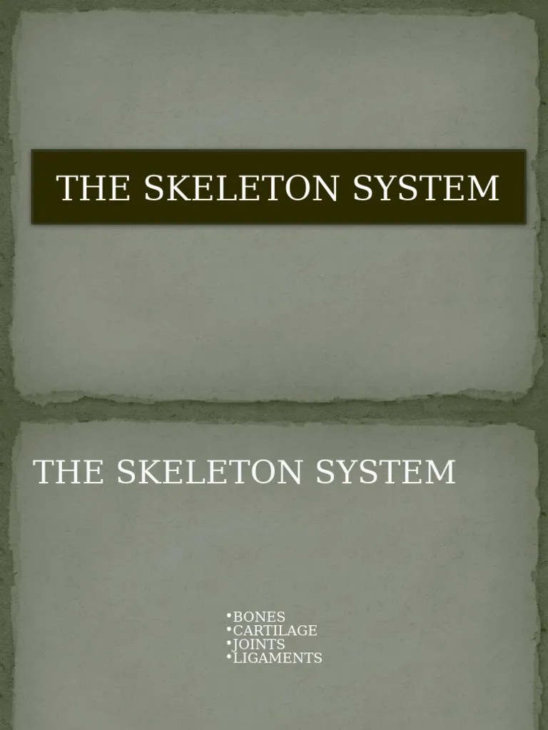 Skeletal System Ppt 1 | PDF | Skull | Skeletal System