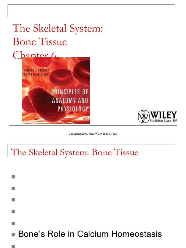 Bone-1 | PDF | Bone | Osteoblast