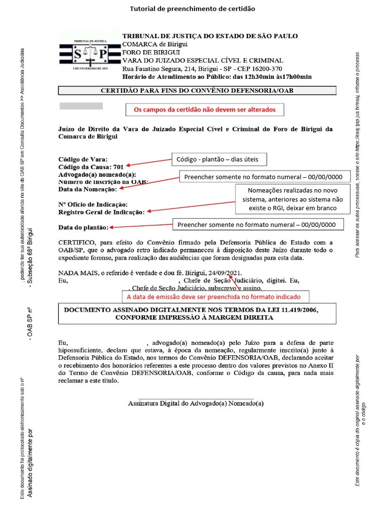 Tutorial De Preenchimento De Certidão Plantão Pdf