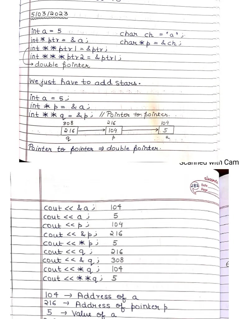 Pointer ClassIII Notes 5th March 2023 | PDF