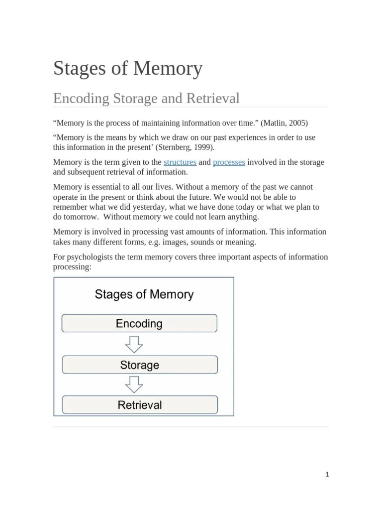 Stages Of Memory (1) | PDF | Memory | Long Term Memory