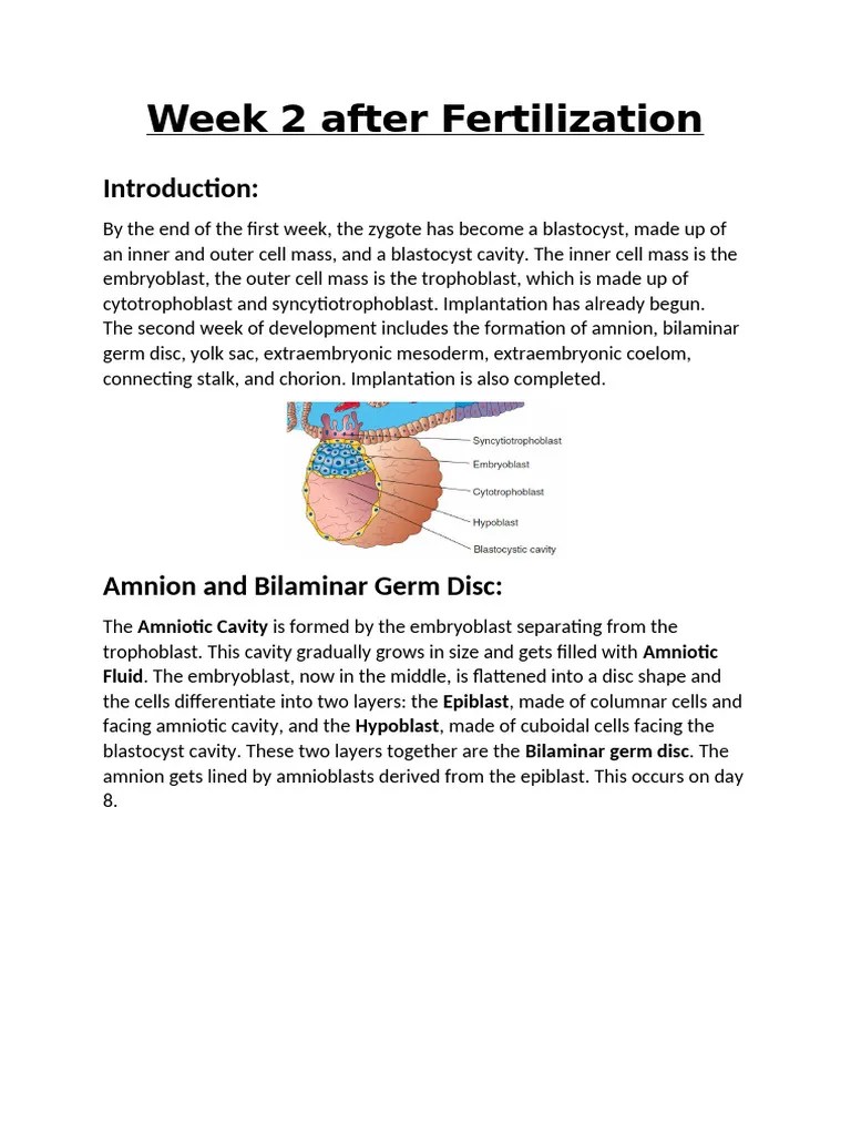 Week 2 Assignment | PDF | Anatomy | Morphology (Biology)