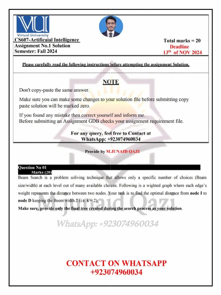 CS607-Assignment 1 Solution Fall 2024 By M.junaid Qazi | PDF