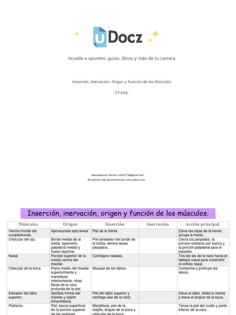 Origen E Inserción De Los Músculos | PDF | La Columna Vertebral | Mano