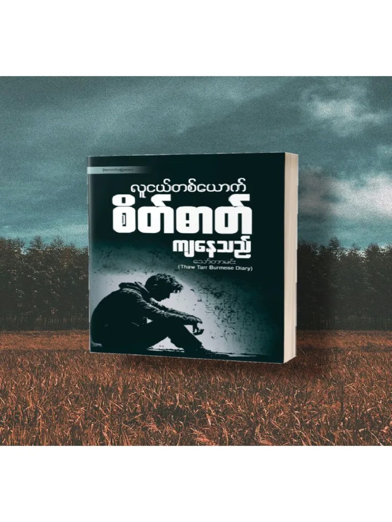 လူငယ်တစ်ယောက်စိတ်ဓာတ်ကျနေသည် သော်တာမင်း | PDF