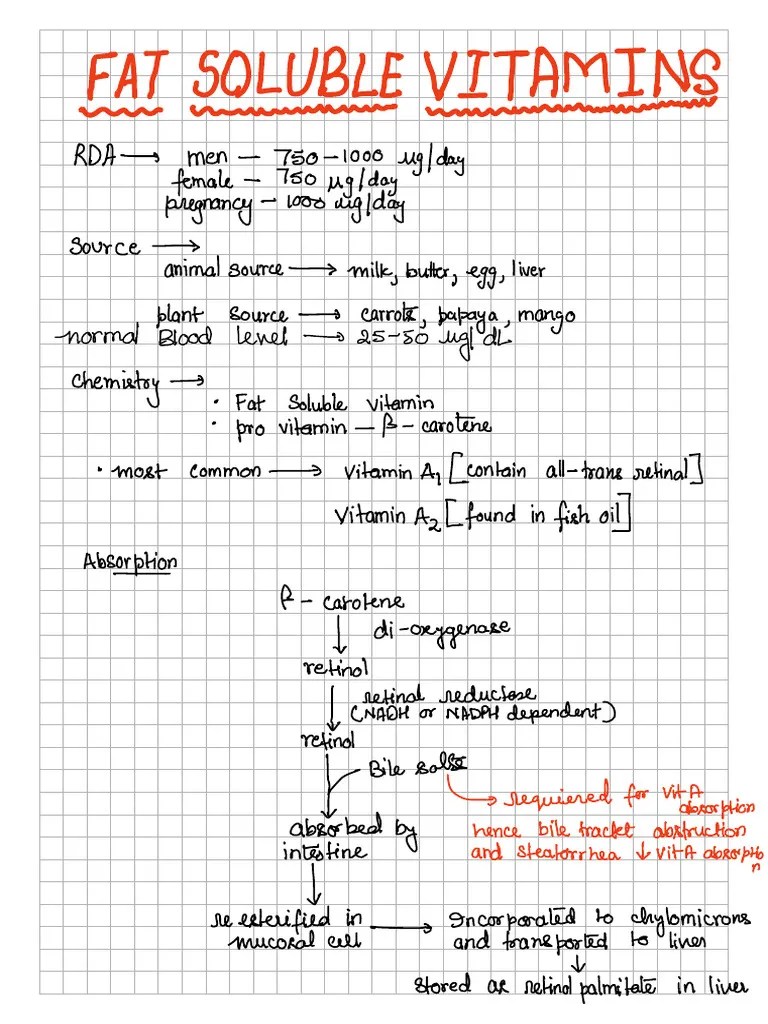 Fat Soluble Vitamins | PDF