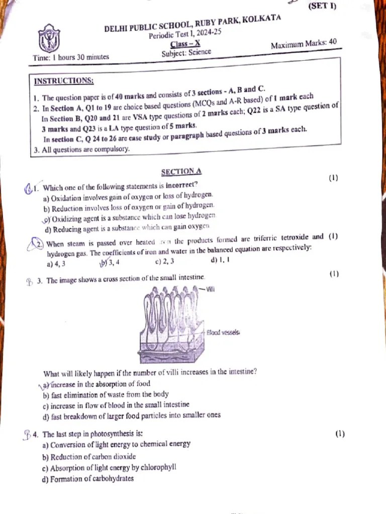 Science DPS PT1 | PDF