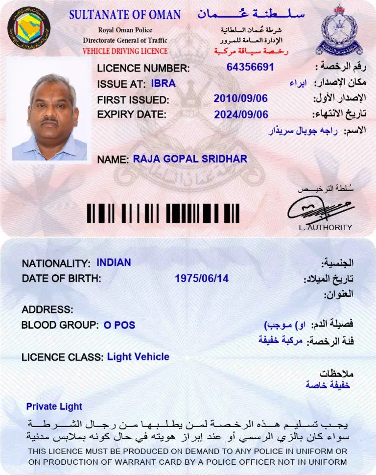 Driving License PDF | PDF