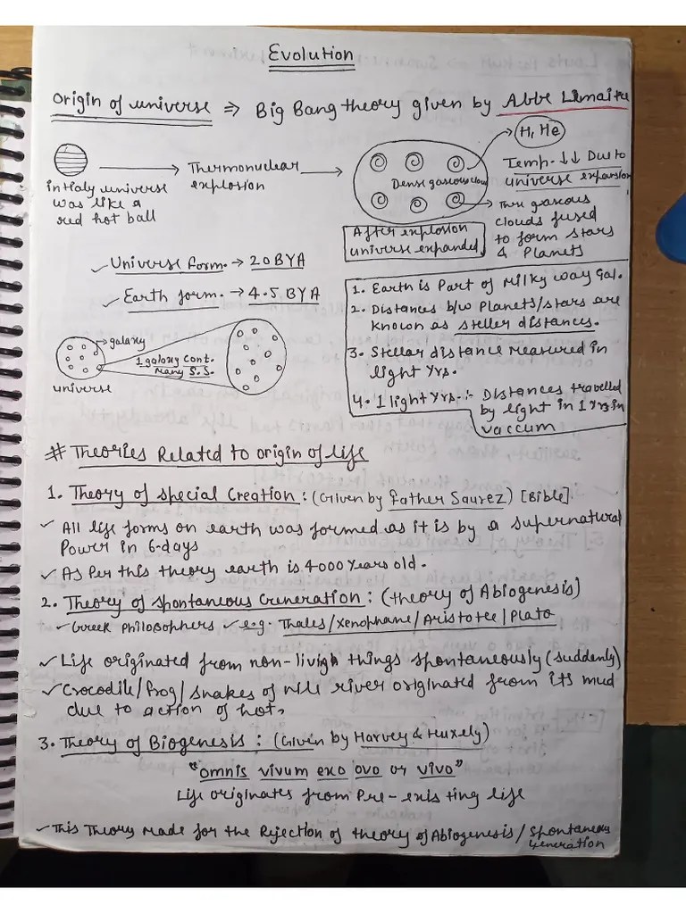 Evolution Notes | PDF