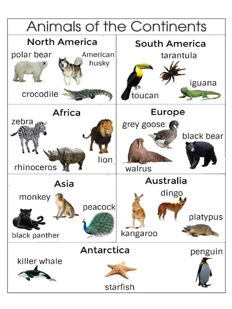 _Animals-of-the-Continents | PDF