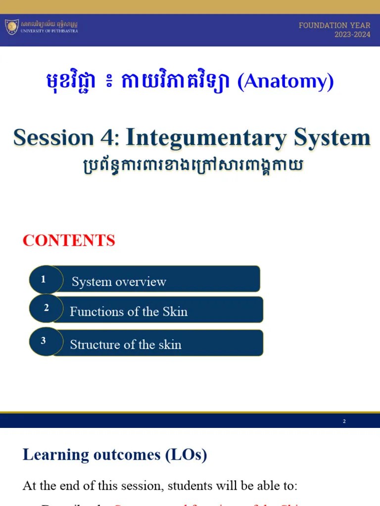 Marieb Ch 04 Lecture Presentation Edited Pdf Skin Integumentary System - Dark Background Collection - Ultra HD Quality