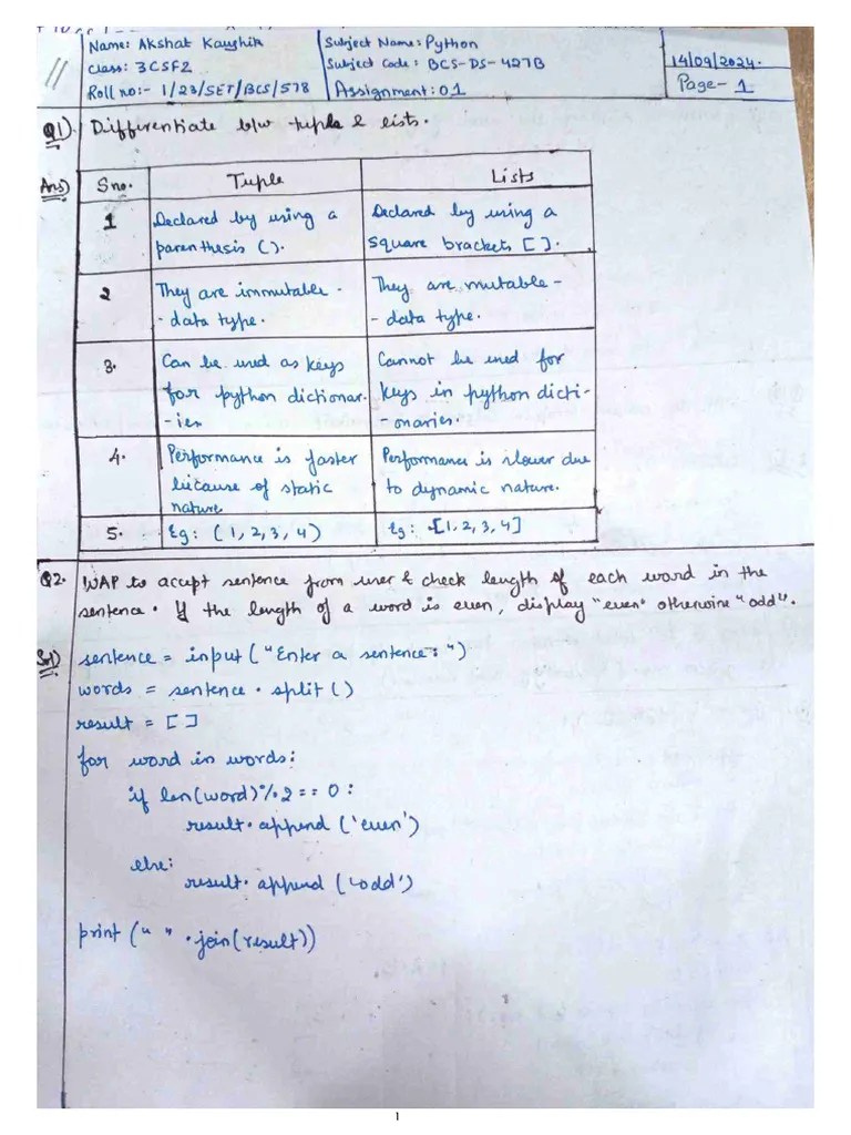 Python Assignment | PDF