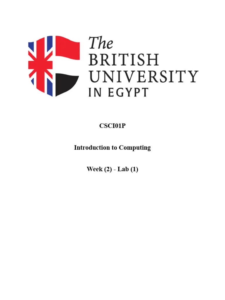 Lab (1) | PDF | Namespace | Programming Paradigms