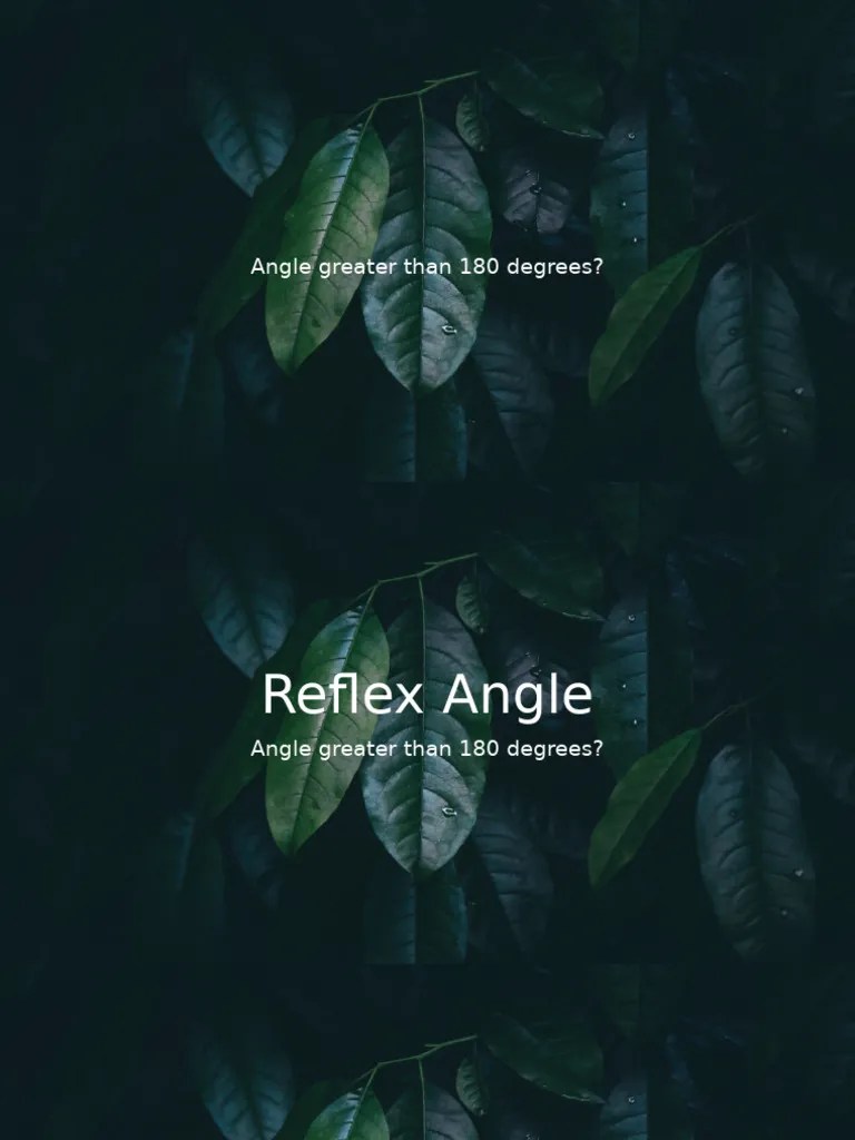 Trigonometry 1 | PDF