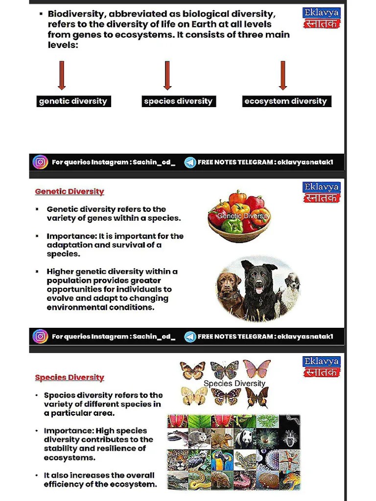 Evs Sem 3 Notes Pdf