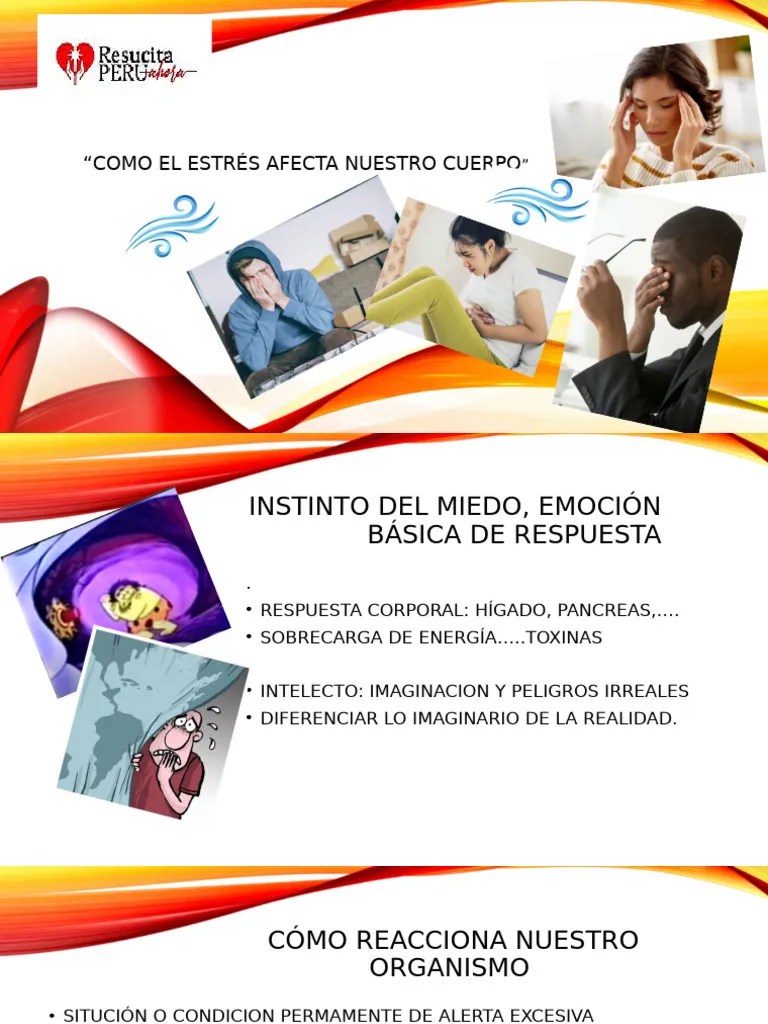 Como El Estrés Afecta Nuestro Cuerpo | PDF