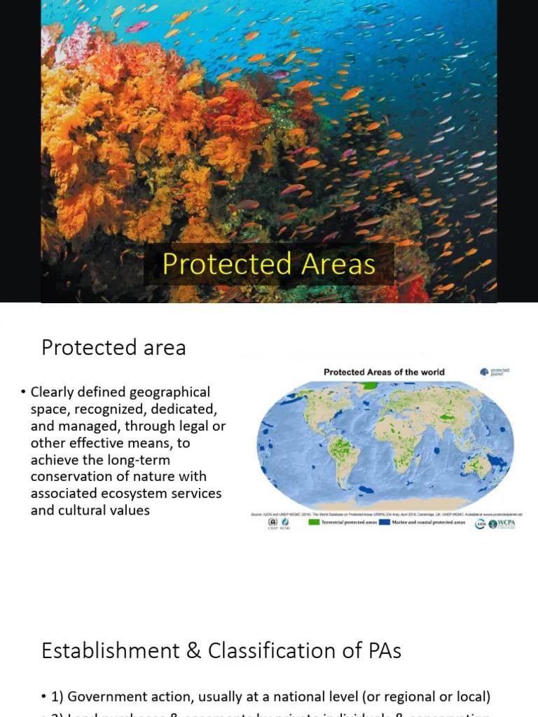 9 - Protected Areas | PDF | Protected Area | Conservation Biology