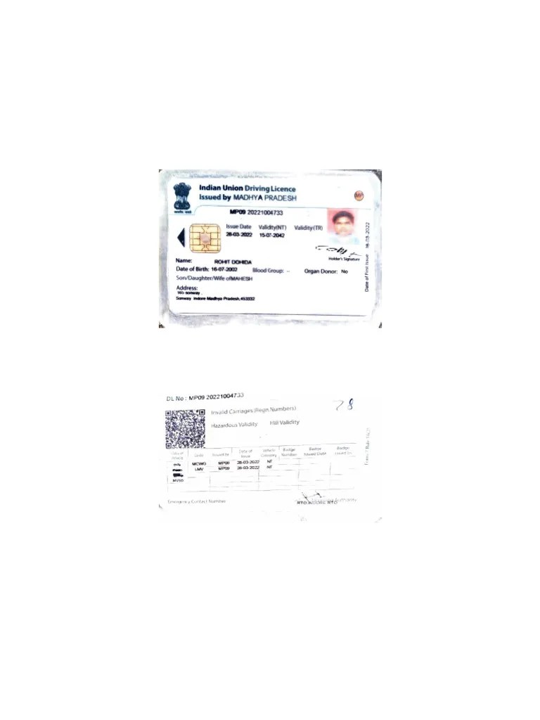 Driving Licence | PDF