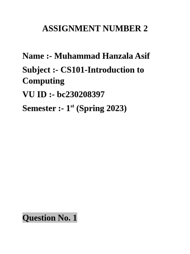 CS101 Assignment No. 2 | PDF