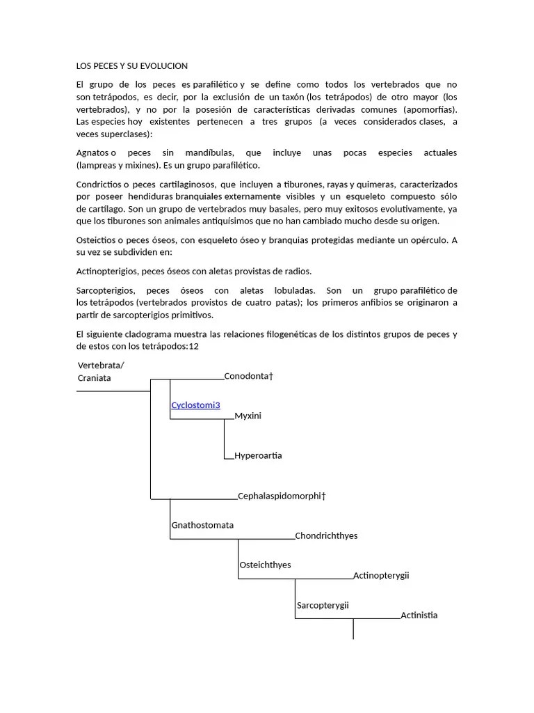 Los Peces Y Su Evolucion | PDF | Vertebrados | Pescado