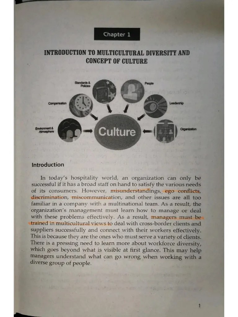 Introduction To Multicultural Diversity And Concept Of Culture | PDF