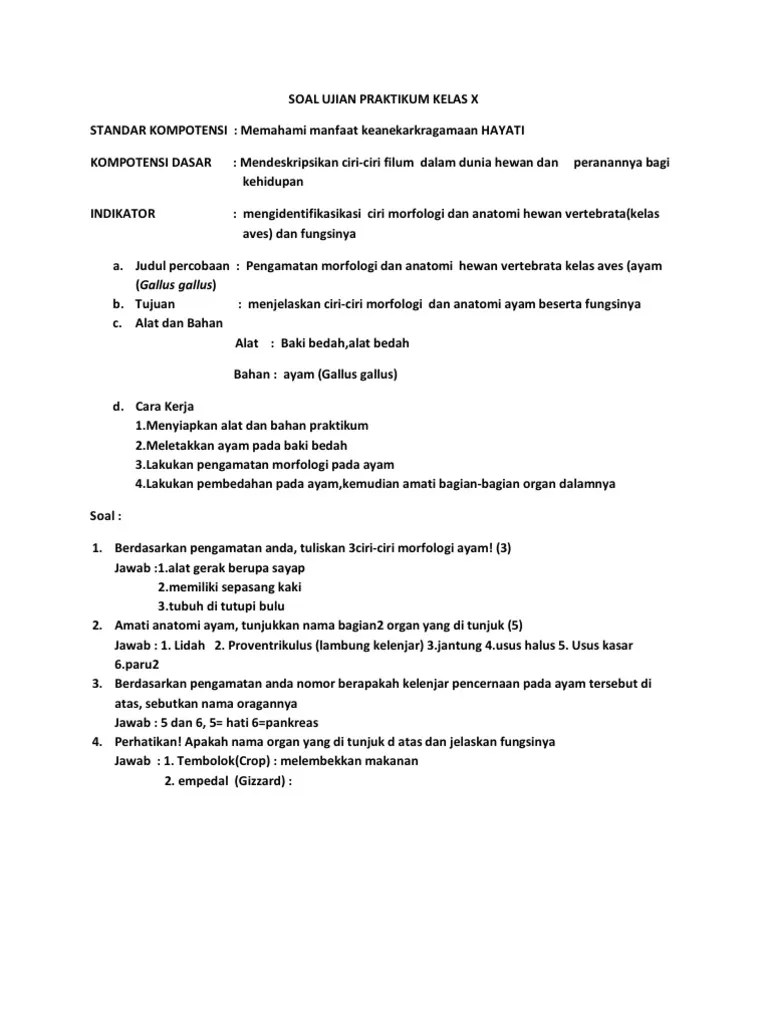 Memiliki lapisan semacam jeli yang . Soal Praktikum Biologi Sma 2011 2012 Pdf