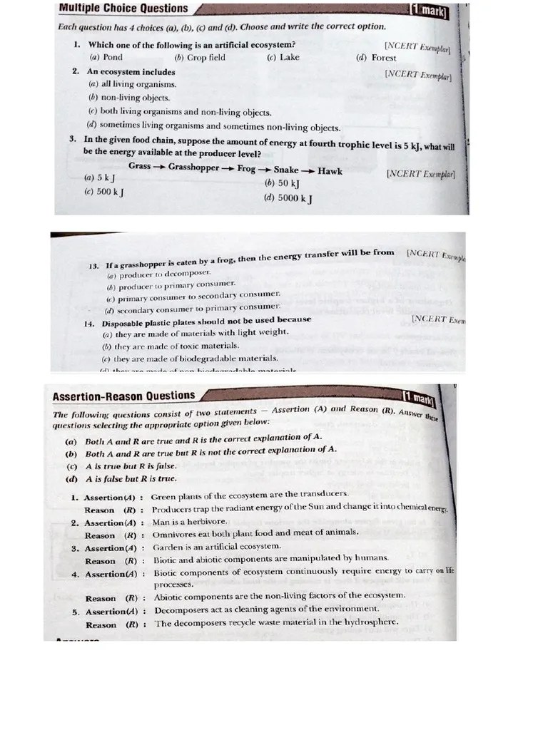 Our Environment Mcq Pdf