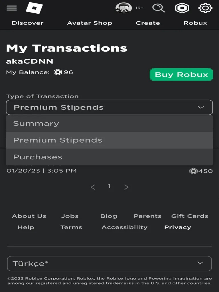 My Roblox PDF 1
