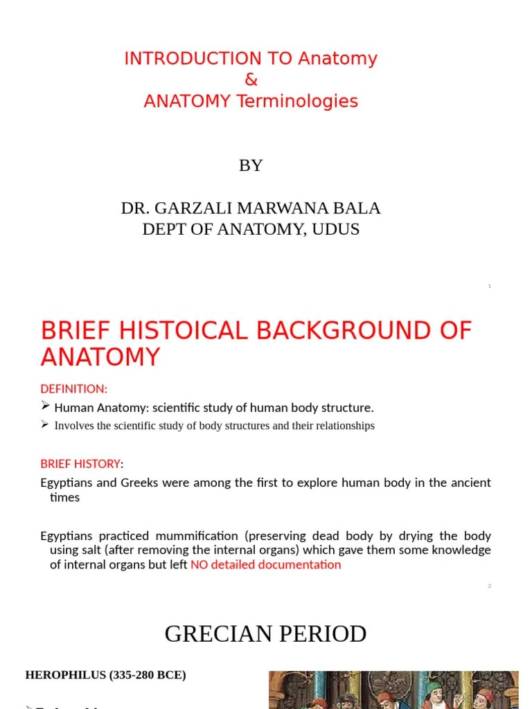 Introduction To Anatomy | PDF | Anatomical Terms Of Motion | Anatomical Terms Of Location