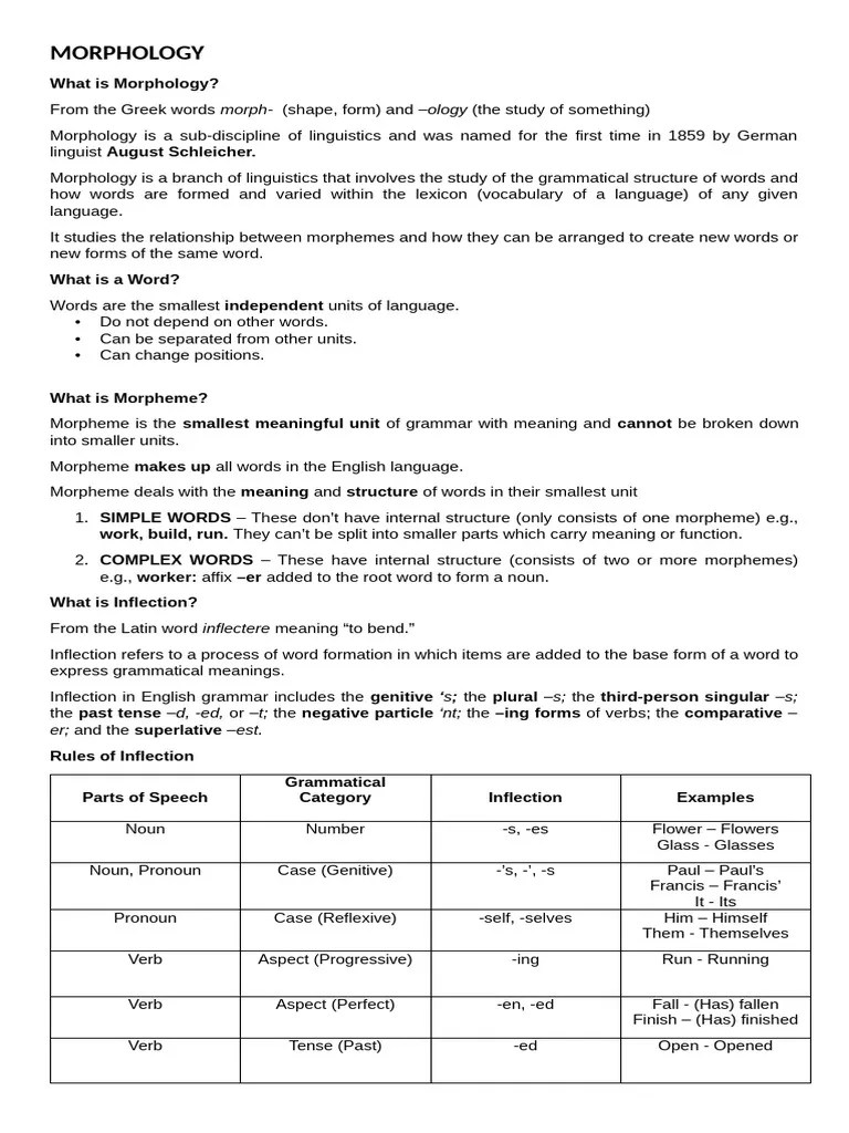 MORPHOLOGY 1 | PDF | Word | Morphology (Linguistics)