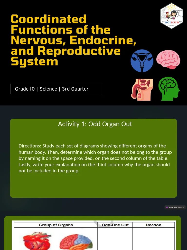 The Human Nervous System A Journey Inside | PDF | Nervous System | Nerve