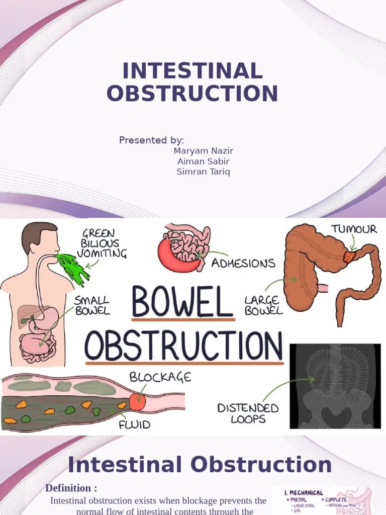 Intestinal Obstruction | PDF | Digestive Diseases | Gastroenterology